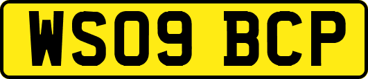 WS09BCP
