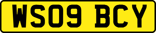 WS09BCY