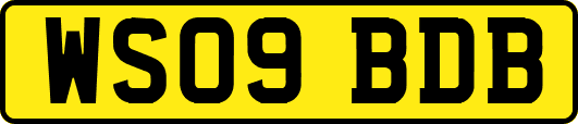 WS09BDB