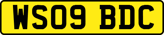 WS09BDC