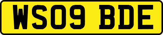 WS09BDE