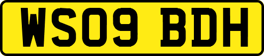 WS09BDH