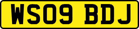 WS09BDJ