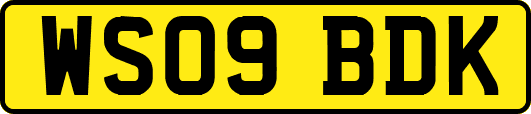 WS09BDK