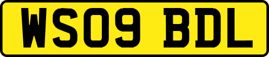 WS09BDL