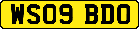 WS09BDO