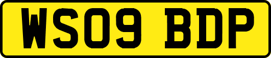 WS09BDP