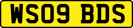 WS09BDS