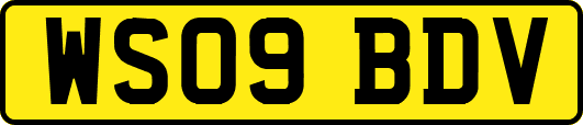 WS09BDV