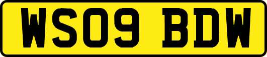 WS09BDW