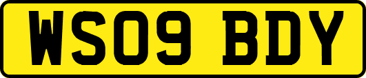 WS09BDY