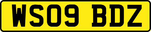 WS09BDZ