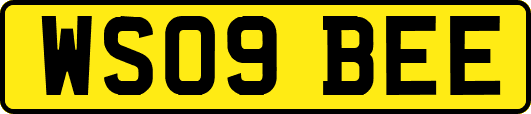 WS09BEE