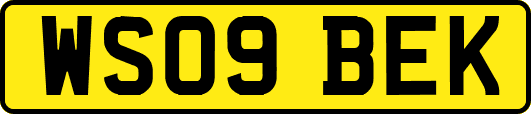 WS09BEK