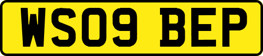 WS09BEP