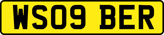 WS09BER