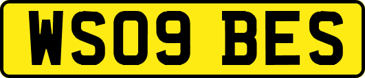 WS09BES