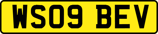 WS09BEV
