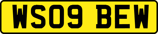 WS09BEW