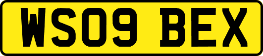 WS09BEX