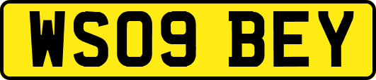 WS09BEY