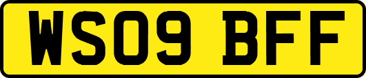 WS09BFF