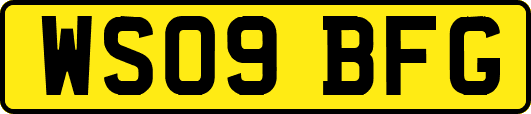 WS09BFG
