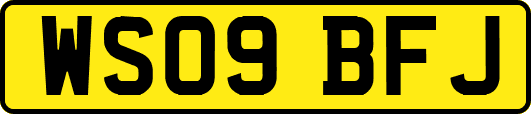 WS09BFJ