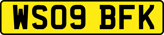 WS09BFK