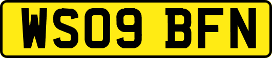 WS09BFN