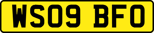 WS09BFO