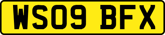WS09BFX