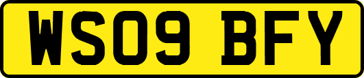 WS09BFY