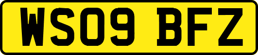 WS09BFZ