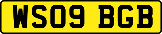 WS09BGB
