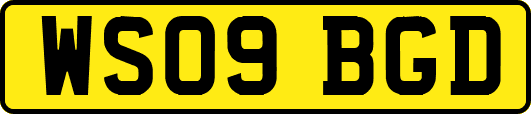 WS09BGD