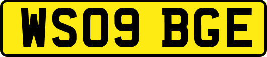 WS09BGE