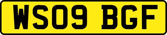 WS09BGF