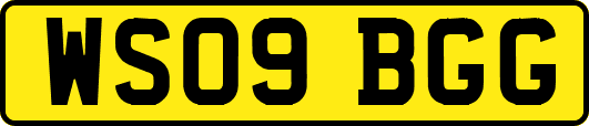 WS09BGG