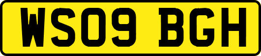 WS09BGH