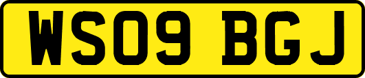 WS09BGJ