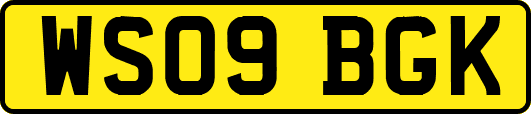 WS09BGK