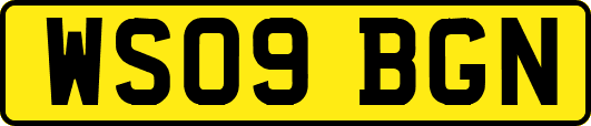 WS09BGN