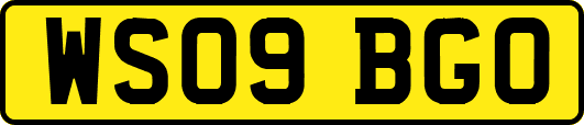 WS09BGO