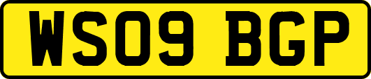 WS09BGP