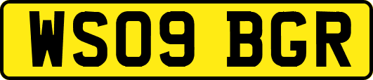 WS09BGR