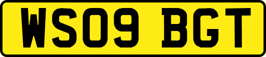 WS09BGT