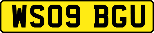 WS09BGU