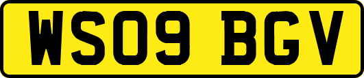 WS09BGV