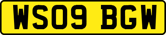 WS09BGW